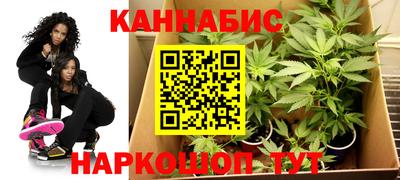 прущие грибы Дубна
