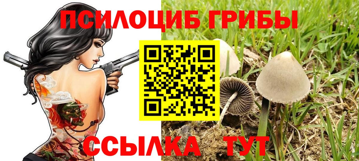 Псилоцибиновые грибы ЛСД  Галлюциногенные грибы ЛСД  где купить   Вход с VPN  Красногорск 
